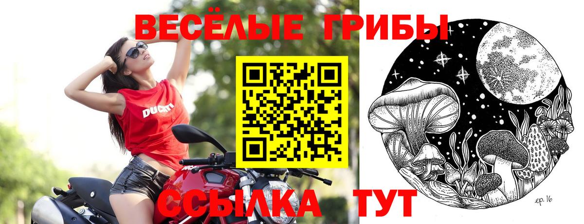 Псилоцибиновые грибы Cubensis Ноябрьск